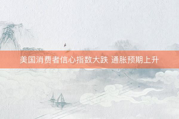 美国消费者信心指数大跌 通胀预期上升