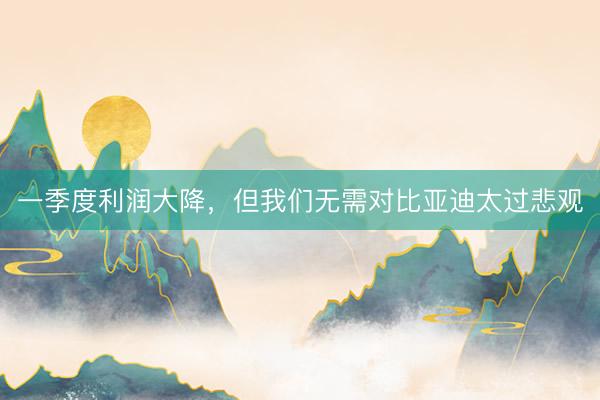 一季度利润大降，但我们无需对比亚迪太过悲观