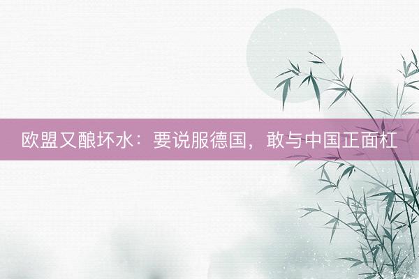 欧盟又酿坏水:要说服德国,敢与中国正面杠