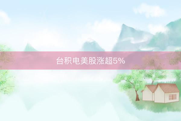 台积电美股涨超5%