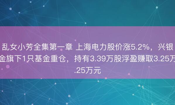 乱女小芳全集第一章 上海电力股价涨5.2%，兴银基金旗下1只基金重仓，持有3.39万股浮盈赚取3.25万元