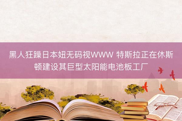 黑人狂躁日本妞无码视WWW 特斯拉正在休斯顿建设其巨型太阳能电池板工厂