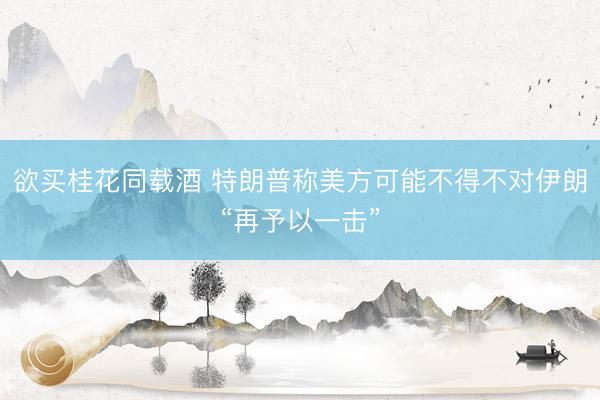 欲买桂花同载酒 特朗普称美方可能不得不对伊朗“再予以一击”