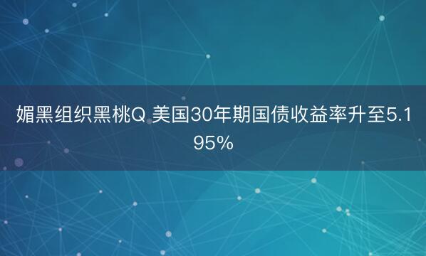 媚黑组织黑桃Q 美国30年期国债收益率升至5.195%