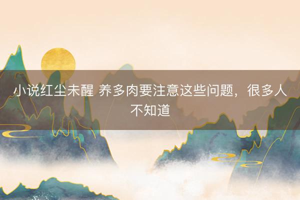 小说红尘未醒 养多肉要注意这些问题，很多人不知道