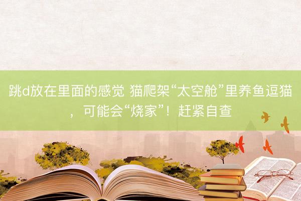 跳d放在里面的感觉 猫爬架“太空舱”里养鱼逗猫，可能会“烧家”！赶紧自查