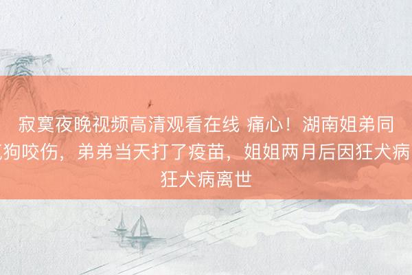 寂寞夜晚视频高清观看在线 痛心！湖南姐弟同被疯狗咬伤，弟弟当天打了疫苗，姐姐两月后因狂犬病离世