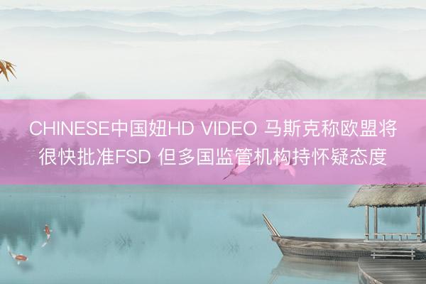 CHINESE中国妞HD VIDEO 马斯克称欧盟将很快批准FSD 但多国监管机构持怀疑态度