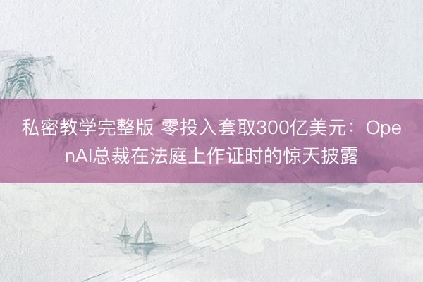 私密教学完整版 零投入套取300亿美元：OpenAI总裁在法庭上作证时的惊天披露