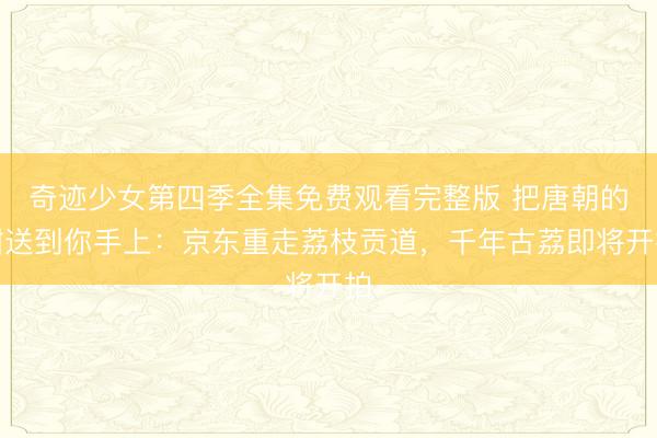 奇迹少女第四季全集免费观看完整版 把唐朝的甜送到你手上:京东重走荔枝贡道,千年古荔即将开拍