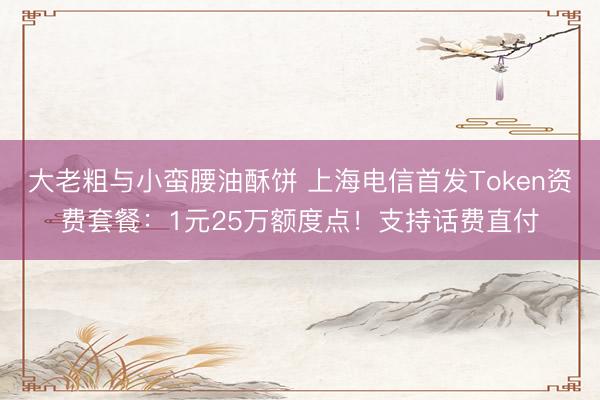 大老粗与小蛮腰油酥饼 上海电信首发Token资费套餐：1元25万额度点！支持话费直付