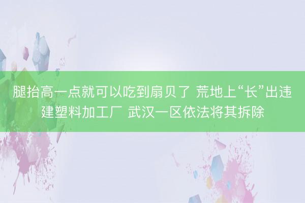 腿抬高一点就可以吃到扇贝了 荒地上“长”出违建塑料加工厂 武汉一区依法将其拆除