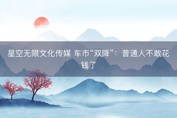 星空无限文化传媒 车市“双降”:普通人不敢花钱了