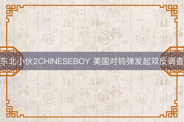 东北小伙2CHINESEBOY 美国对钨弹发起双反调查