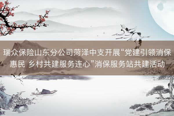 瑞众保险山东分公司菏泽中支开展“党建引领消保惠民 乡村共建服务连心”消保服务站共建活动