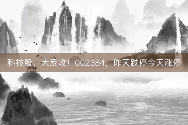 科技股，大反攻！002384，昨天跌停今天涨停