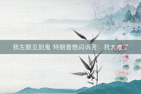 我左眼见到鬼 特朗普憋闷诉苦：我太难了