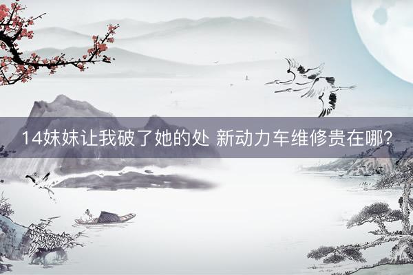14妺妺让我破了她的处 新动力车维修贵在哪？