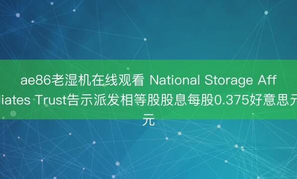 ae86老湿机在线观看 National Storage Affiliates Trust告示派发相等股股息每股0.375好意思元