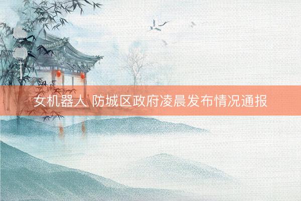 女机器人 防城区政府凌晨发布情况通报