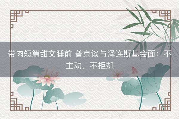 带肉短篇甜文睡前 普京谈与泽连斯基会面：不主动，不拒却
