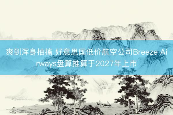 爽到浑身抽搐 好意思国低价航空公司Breeze Airways盘算推算于2027年上市