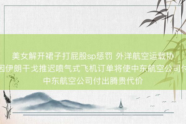 美女解开裙子打屁股sp惩罚 外洋航空运载协会副总裁：因伊朗干戈推迟喷气式飞机订单将使中东航空公司付出腾贵代价
