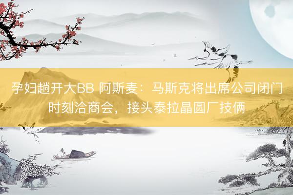 孕妇趟开大BB 阿斯麦：马斯克将出席公司闭门时刻洽商会，接头泰拉晶圆厂技俩