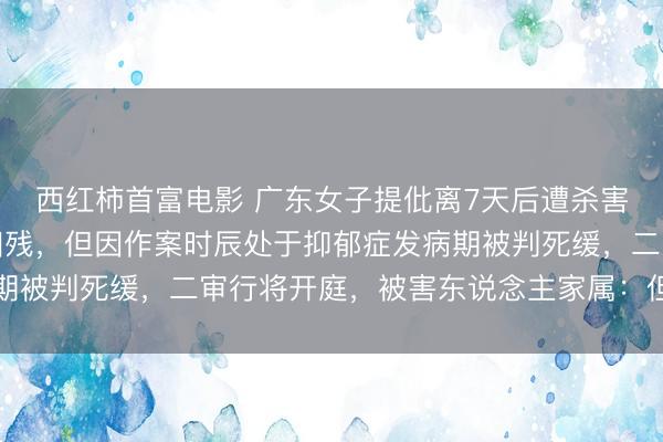 西红柿首富电影 广东女子提仳离7天后遭杀害，丈夫作案妙技迥殊凶残，但因作案时辰处于抑郁症发病期被判死缓，二审行将开庭，被害东说念主家属：但愿判死刑