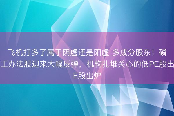 飞机打多了属于阴虚还是阳虚 多成分股东!磷化工办法股迎来大幅反弹,机构扎堆关心的低PE股出炉