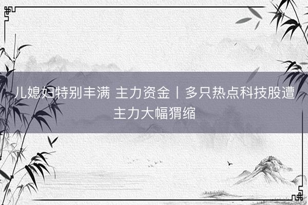 儿媳妇特别丰满 主力资金丨多只热点科技股遭主力大幅猬缩