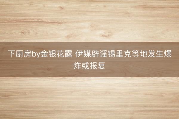 下厨房by金银花露 伊媒辟谣锡里克等地发生爆炸或报复