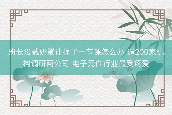 班长没戴奶罩让捏了一节课怎么办 逾200家机构调研两公司 电子元件行业最受疼爱