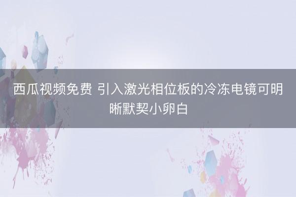 西瓜视频免费 引入激光相位板的冷冻电镜可明晰默契小卵白