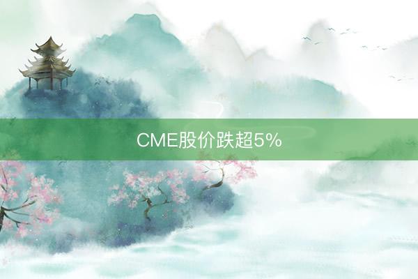 CME股价跌超5%