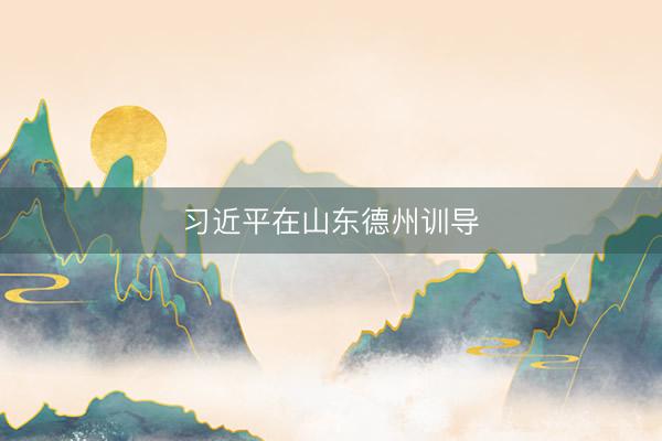 习近平在山东德州训导